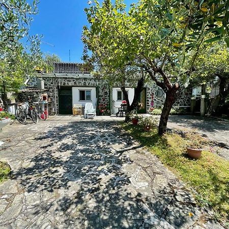 Rosy Apartment - Levanto, 5 Terre Esterno foto