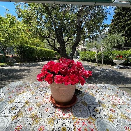 Rosy Apartment - Levanto, 5 Terre Esterno foto