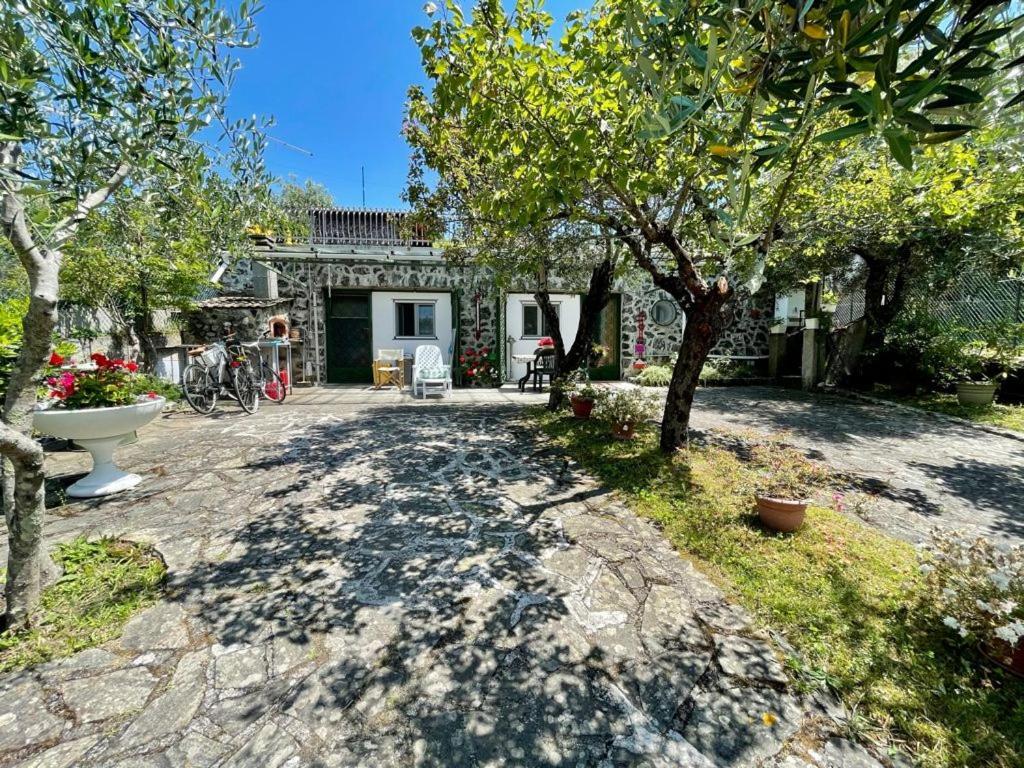 Rosy Apartment - Levanto, 5 Terre Esterno foto