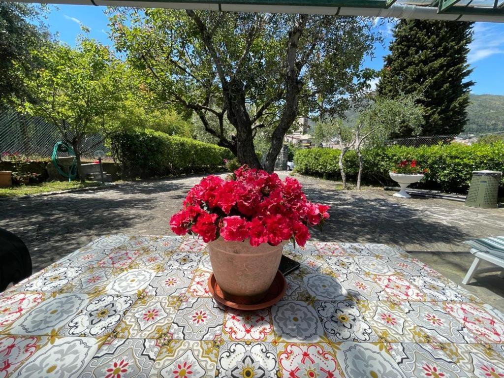 Rosy Apartment - Levanto, 5 Terre Esterno foto
