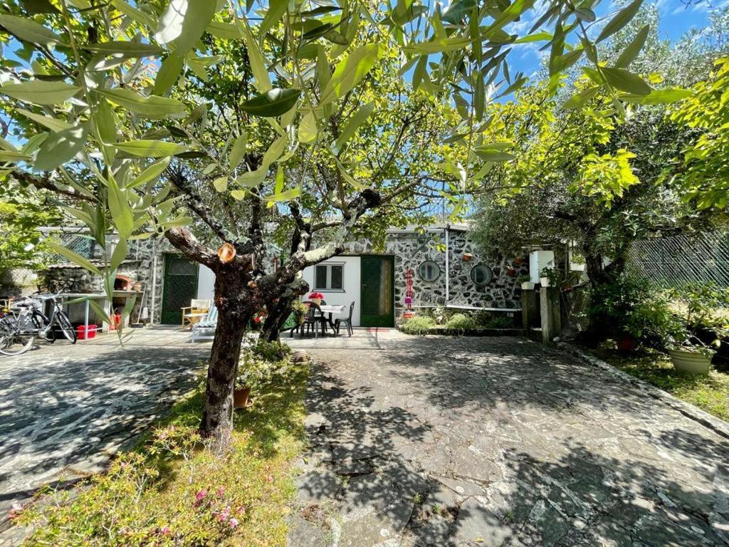 Rosy Apartment - Levanto, 5 Terre Esterno foto