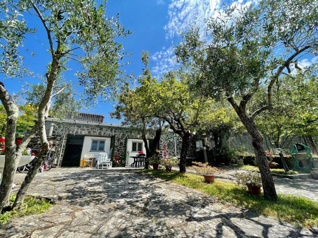 Rosy Apartment - Levanto, 5 Terre Esterno foto
